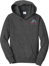 Hartford Jr. Wolfpack Youth Fan Favorite Fleece Pullover Hooded Sweatshirt