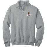 Seacoast Spartans NuBlend 1/4-Zip Cadet Collar Sweatshirt