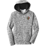 Delaware Ducks Youth PosiCharge Electric Heather Fleece Hooded Pullover