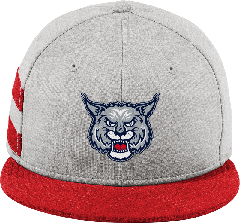 CT Bobcats New Era Shadow Heather Striped Flat Bill Snapback Cap