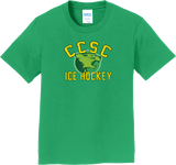 Chester County Youth Fan Favorite Tee