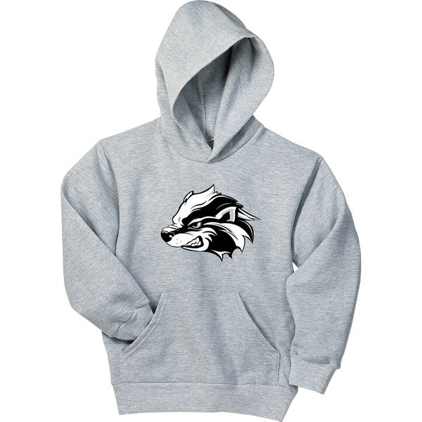 Allegheny Badgers Youth EcoSmart Pullover Hooded Sweatshirt